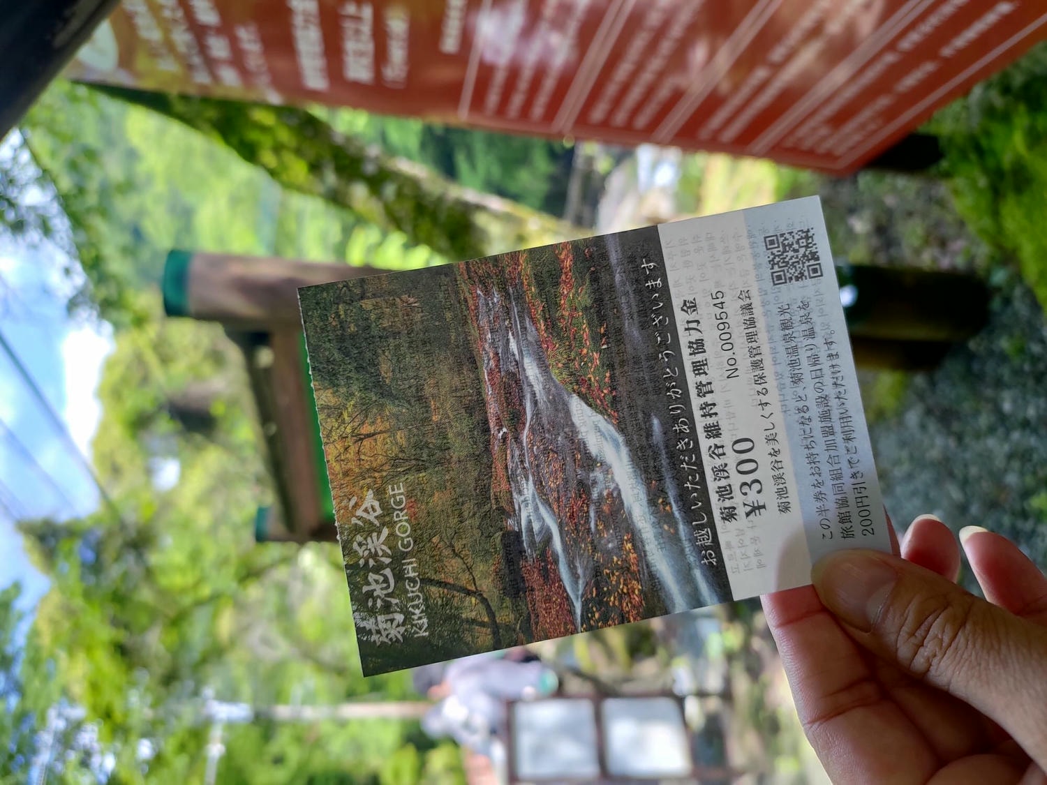 九州熊本┃阿蘇國立公園百選森林浴-菊池溪谷 網美哈密瓜巨蛋館買名產 熊本縣菊池市自駕推薦!