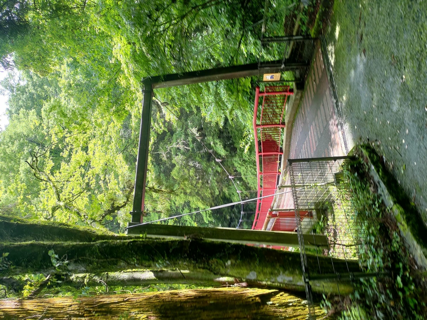 九州熊本┃阿蘇國立公園百選森林浴-菊池溪谷 網美哈密瓜巨蛋館買名產 熊本縣菊池市自駕推薦!