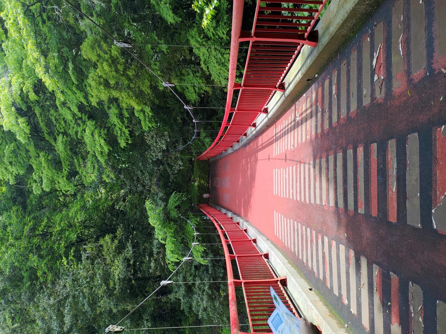 九州熊本┃阿蘇國立公園百選森林浴-菊池溪谷 網美哈密瓜巨蛋館買名產 熊本縣菊池市自駕推薦!