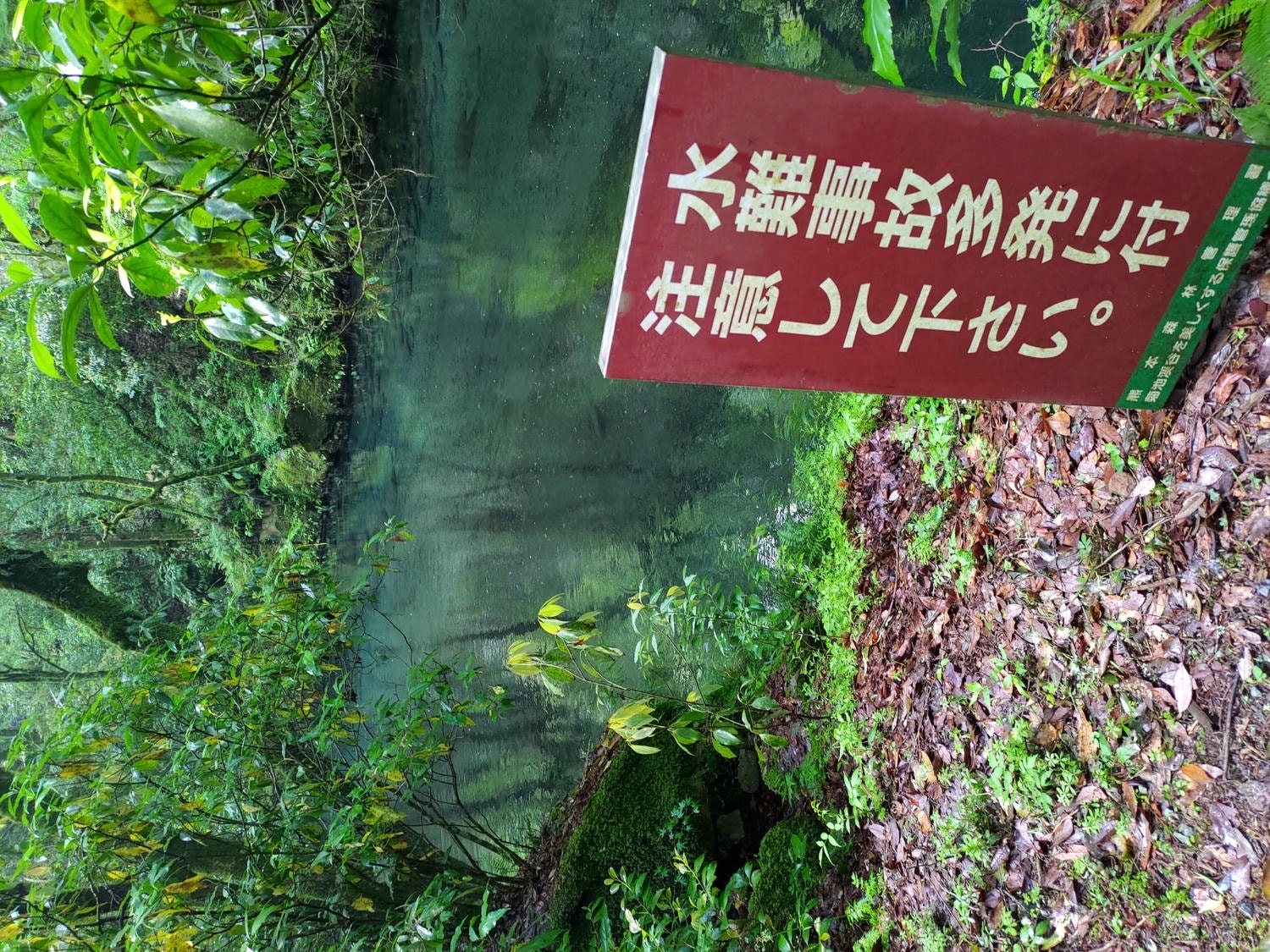 九州熊本┃阿蘇國立公園百選森林浴-菊池溪谷 網美哈密瓜巨蛋館買名產 熊本縣菊池市自駕推薦!