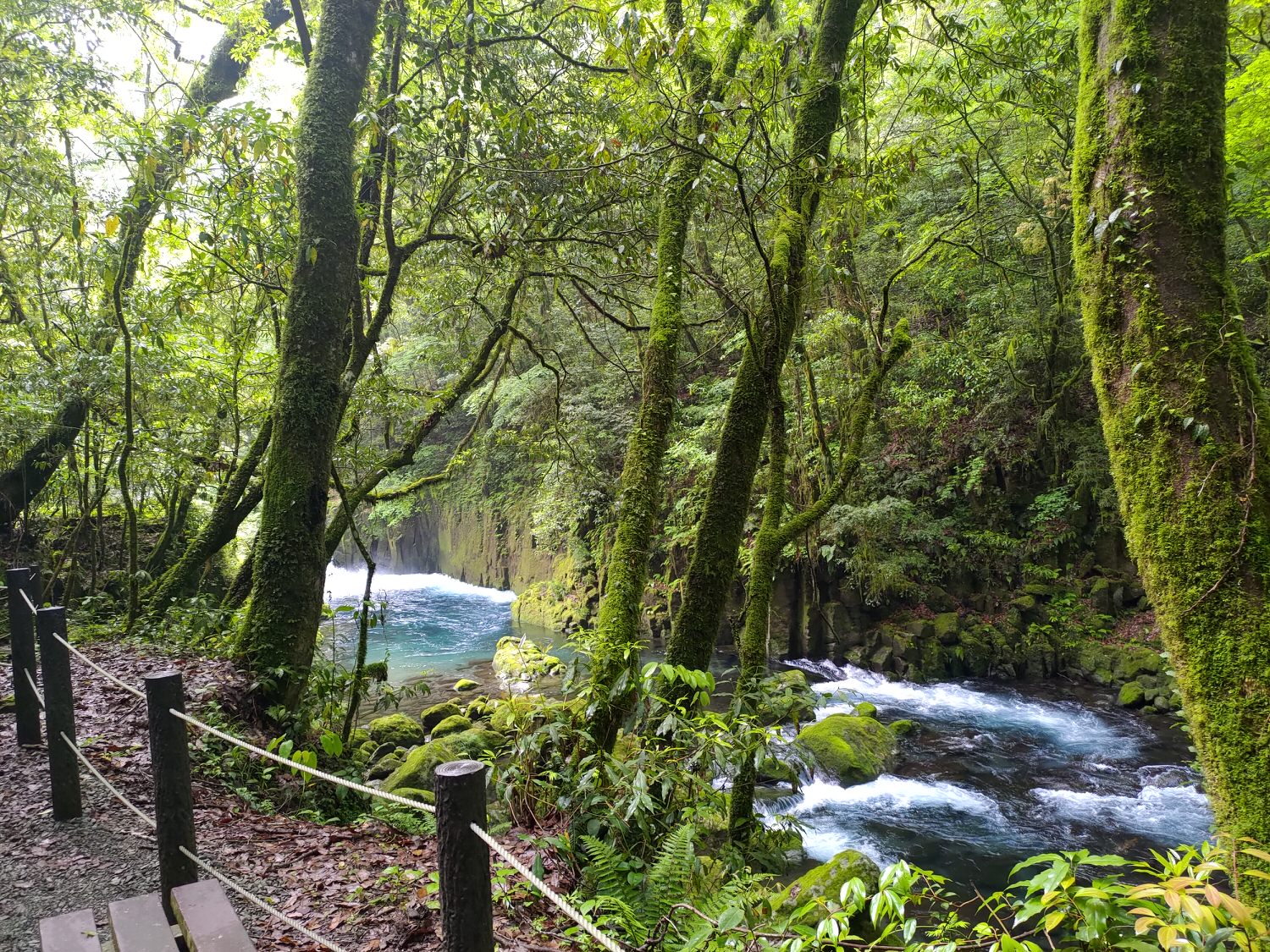 九州熊本┃阿蘇國立公園百選森林浴-菊池溪谷 網美哈密瓜巨蛋館買名產 熊本縣菊池市自駕推薦!