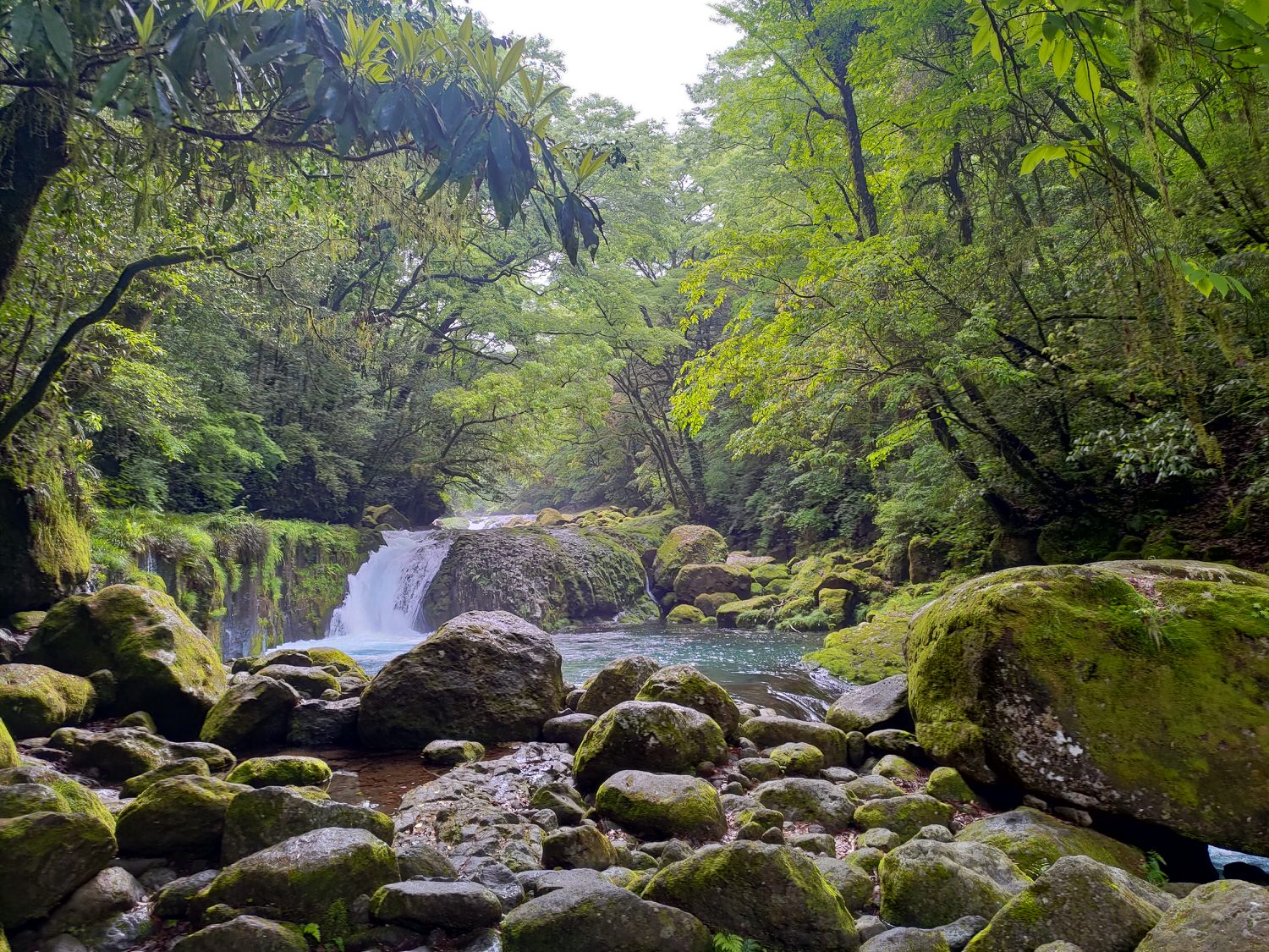 九州熊本┃阿蘇國立公園百選森林浴-菊池溪谷 網美哈密瓜巨蛋館買名產 熊本縣菊池市自駕推薦!