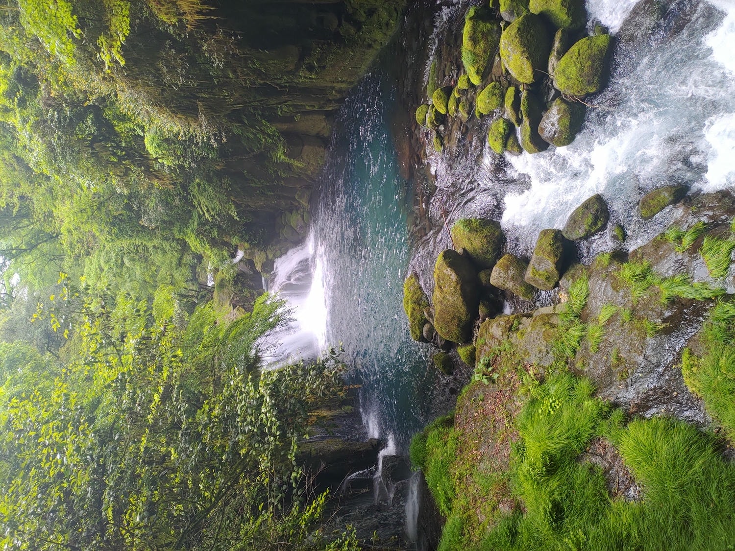 九州熊本┃阿蘇國立公園百選森林浴-菊池溪谷 網美哈密瓜巨蛋館買名產 熊本縣菊池市自駕推薦!