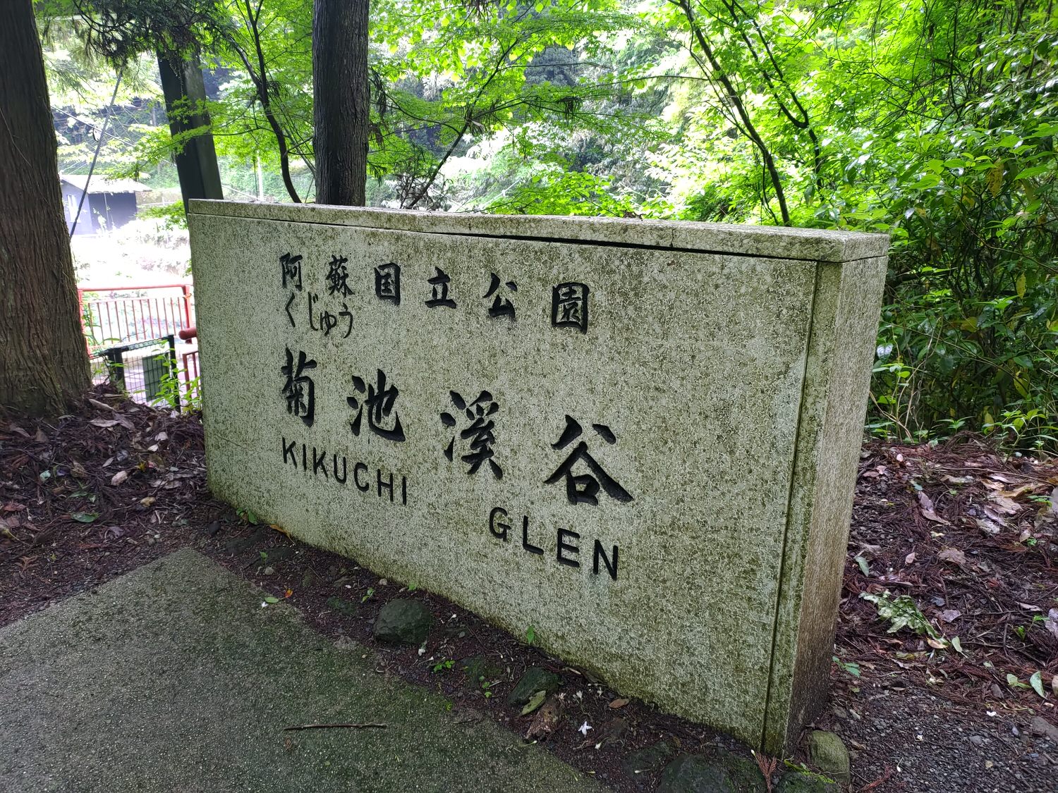 九州熊本┃阿蘇國立公園百選森林浴-菊池溪谷 網美哈密瓜巨蛋館買名產 熊本縣菊池市自駕推薦!