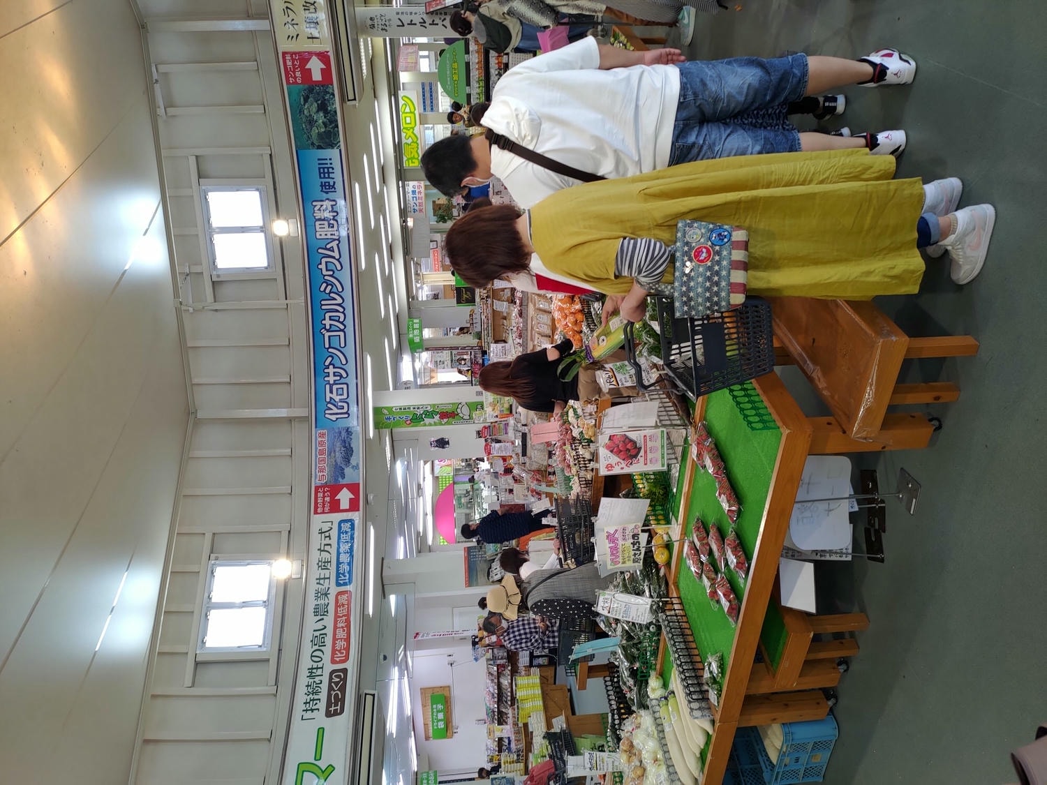 九州熊本┃阿蘇國立公園百選森林浴-菊池溪谷 網美哈密瓜巨蛋館買名產 熊本縣菊池市自駕推薦!