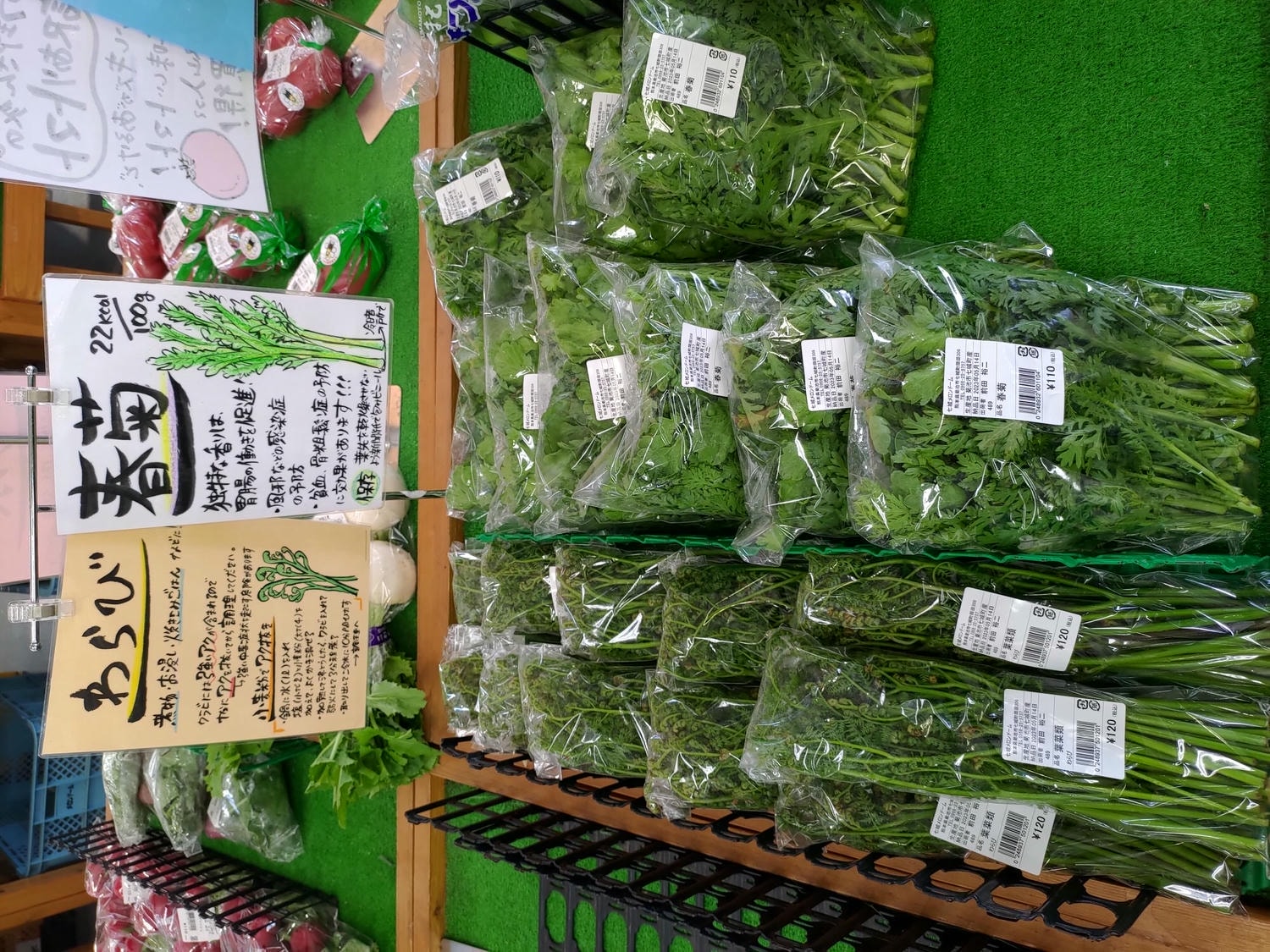 九州熊本┃阿蘇國立公園百選森林浴-菊池溪谷 網美哈密瓜巨蛋館買名產 熊本縣菊池市自駕推薦!