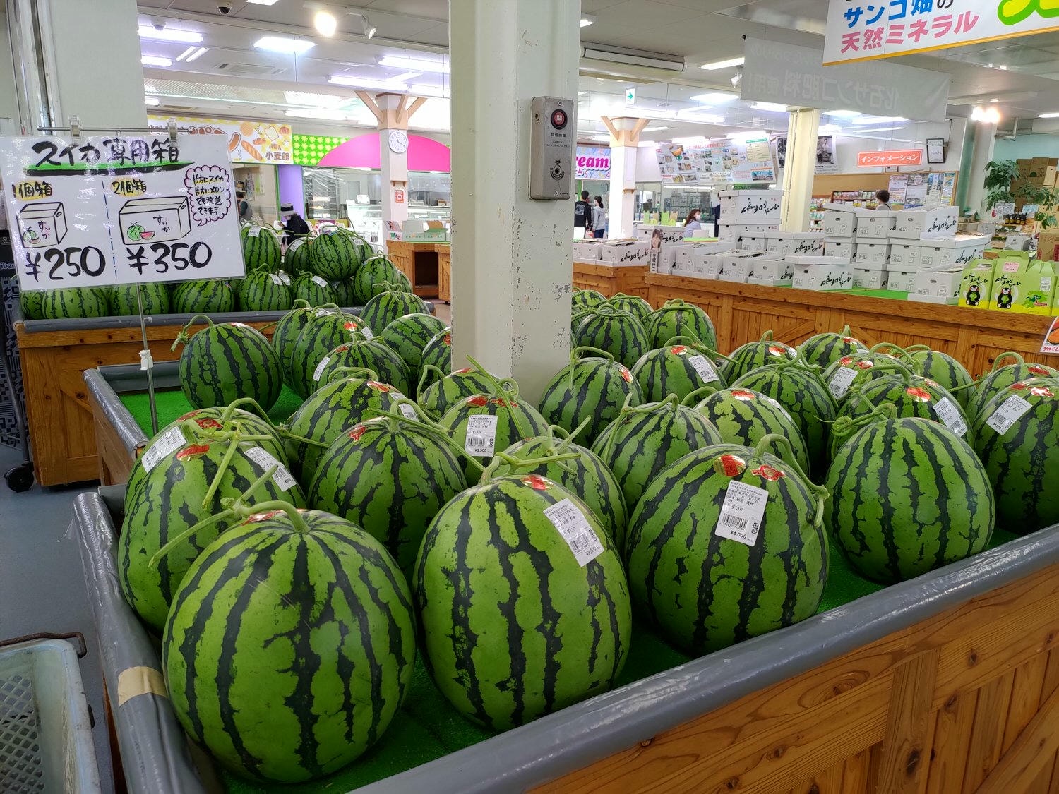 九州熊本┃阿蘇國立公園百選森林浴-菊池溪谷 網美哈密瓜巨蛋館買名產 熊本縣菊池市自駕推薦!