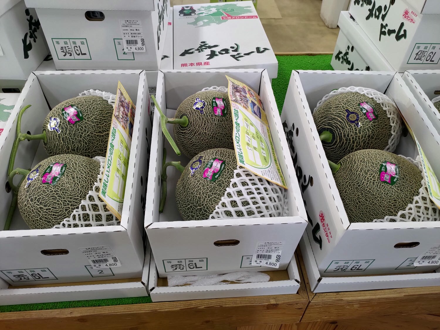 九州熊本┃阿蘇國立公園百選森林浴-菊池溪谷 網美哈密瓜巨蛋館買名產 熊本縣菊池市自駕推薦!