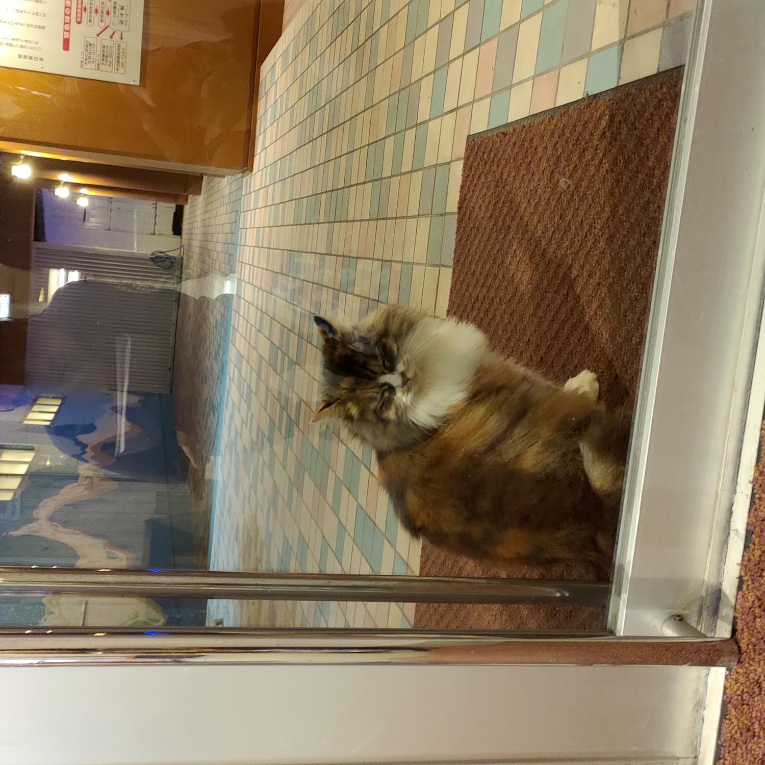 熊本天草住宿┃海景賞夕陽 天草下田溫泉 望洋閣旅館一泊二食鮑魚超新鮮 天草最棒優質住宿 百萬海景超放鬆 - 第73張圖 熊本天草住宿┃海景賞夕陽 天草下田溫泉 望洋閣旅館一泊二食鮑魚超新鮮 天草最棒優質住宿 百萬海景超放鬆