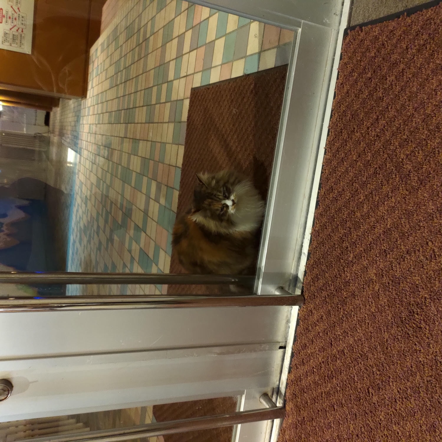 熊本天草住宿┃海景賞夕陽 天草下田溫泉 望洋閣旅館一泊二食鮑魚超新鮮 天草最棒優質住宿 百萬海景超放鬆 - 第74張圖 熊本天草住宿┃海景賞夕陽 天草下田溫泉 望洋閣旅館一泊二食鮑魚超新鮮 天草最棒優質住宿 百萬海景超放鬆