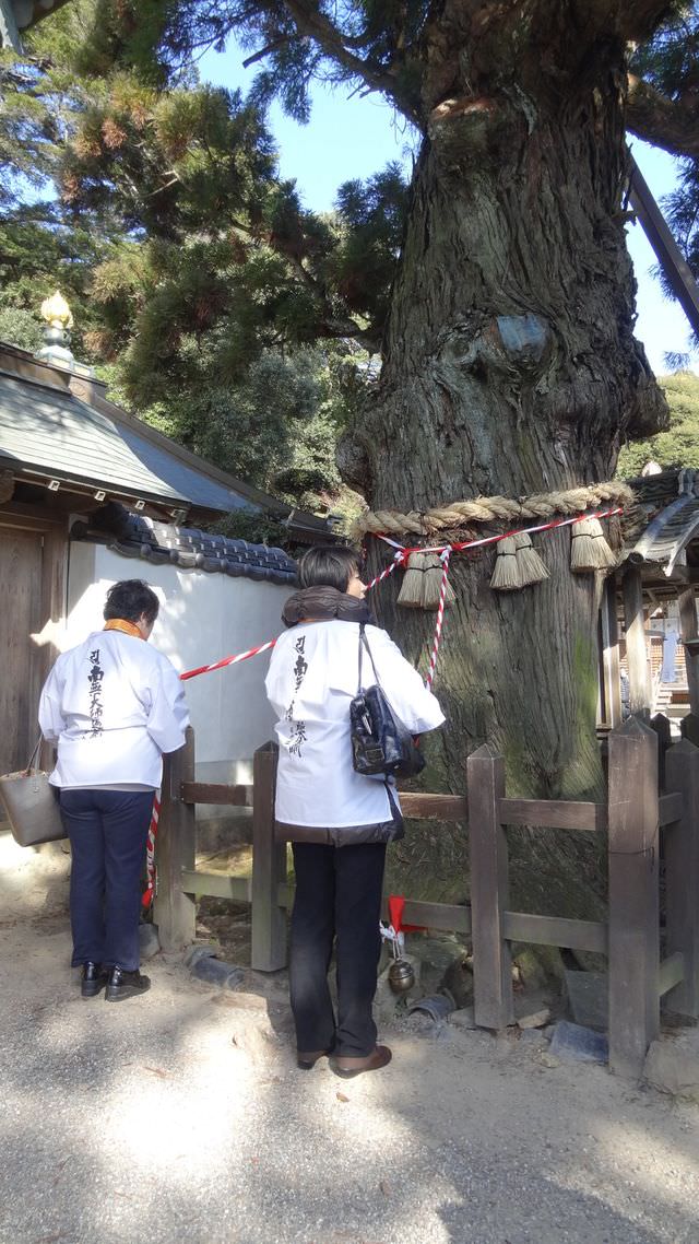 日本四國┃德島縣鳴門二日遊（百年酒造、醬油藏、大谷燒、藍染）