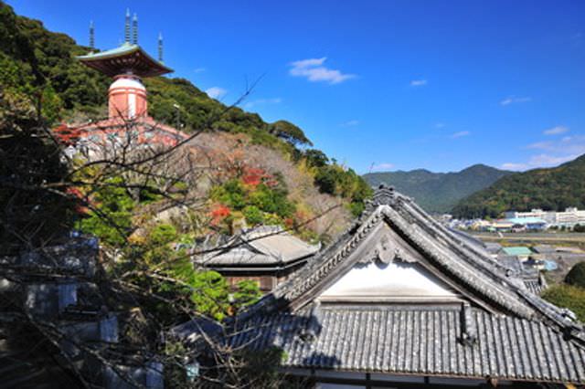 日本四國┃德島縣南部海景包棟住一晚 海龜博物館 除厄神寺藥王寺 太龍寺纜車 阿佐海岸鐵道