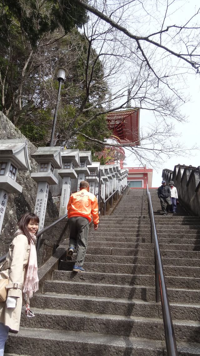 日本四國┃德島縣南部海景包棟住一晚 海龜博物館 除厄神寺藥王寺 太龍寺纜車 阿佐海岸鐵道