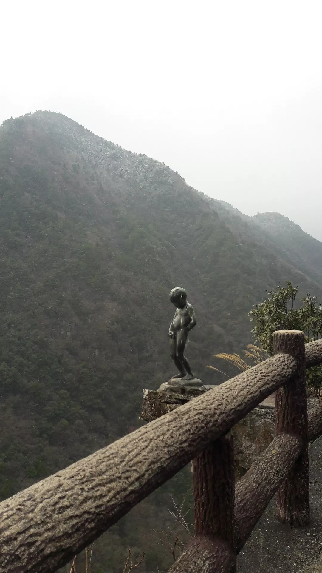 四國德島┃秘境祖谷大步危遊覽船 藤蔓橋 小便小僧觀光巴士或定額計程車包車預約