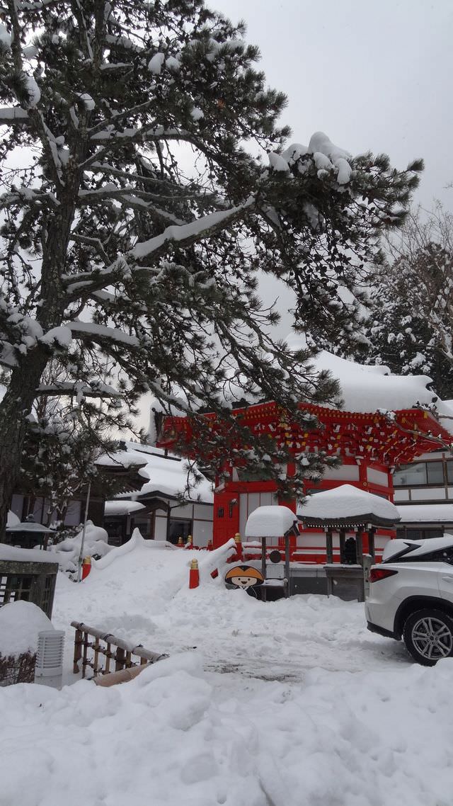 日本關西+四國┃搭南海電鐵渡輪Ferry遊關西和歌山+四國德島 超方便又省錢