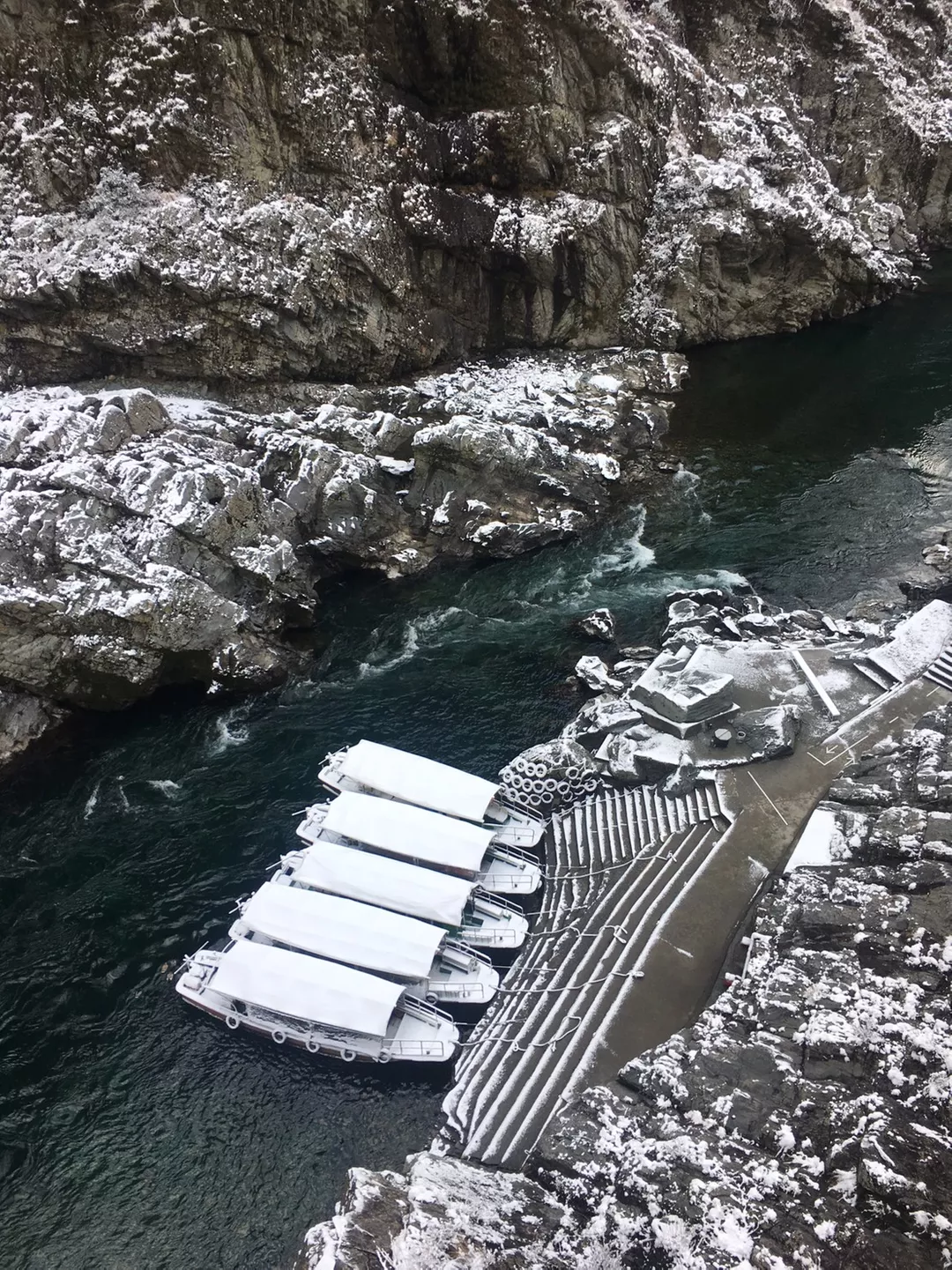 四國德島┃秘境祖谷大步危遊覽船 藤蔓橋 小便小僧觀光巴士或定額計程車包車預約