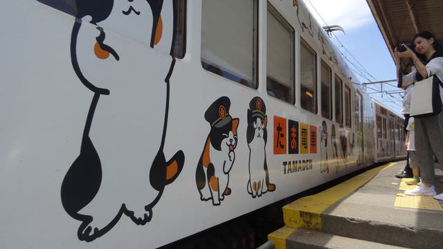 日本關西+四國┃搭南海電鐵渡輪Ferry遊關西和歌山+四國德島 超方便又省錢