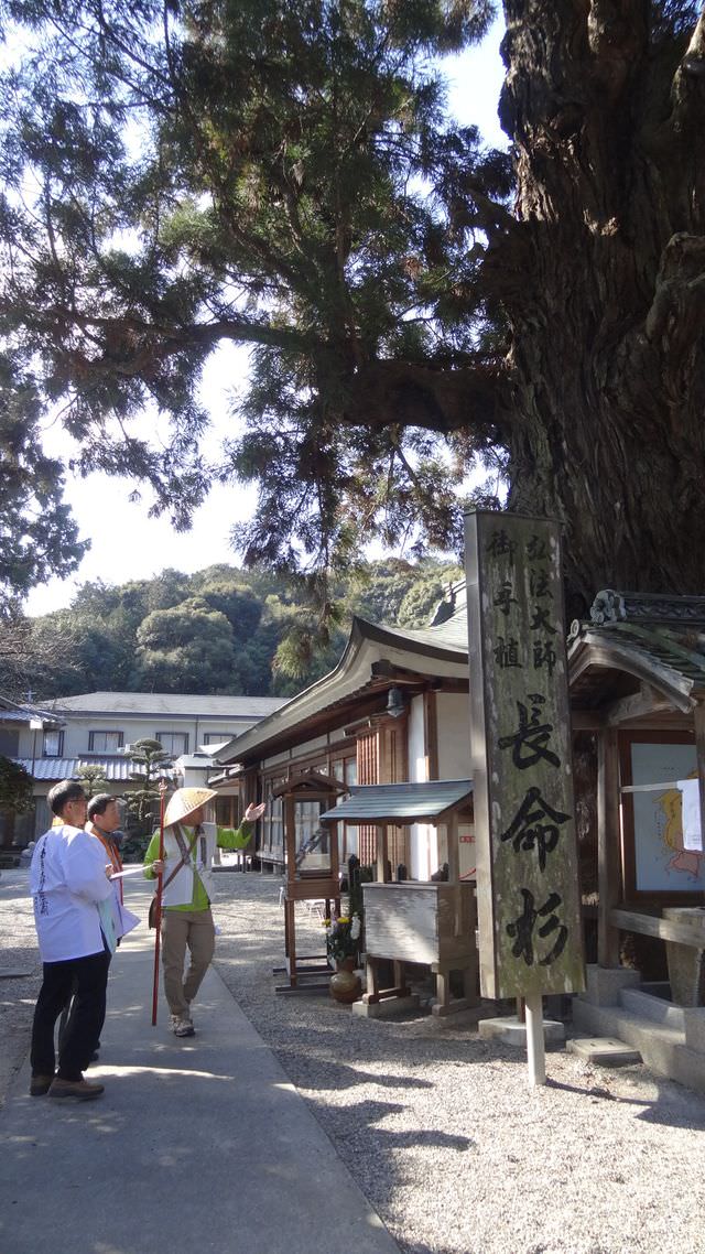 日本四國┃德島縣鳴門二日遊（百年酒造、醬油藏、大谷燒、藍染）