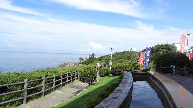 日本關西+四國┃搭南海電鐵渡輪Ferry遊關西和歌山+四國德島 超方便又省錢