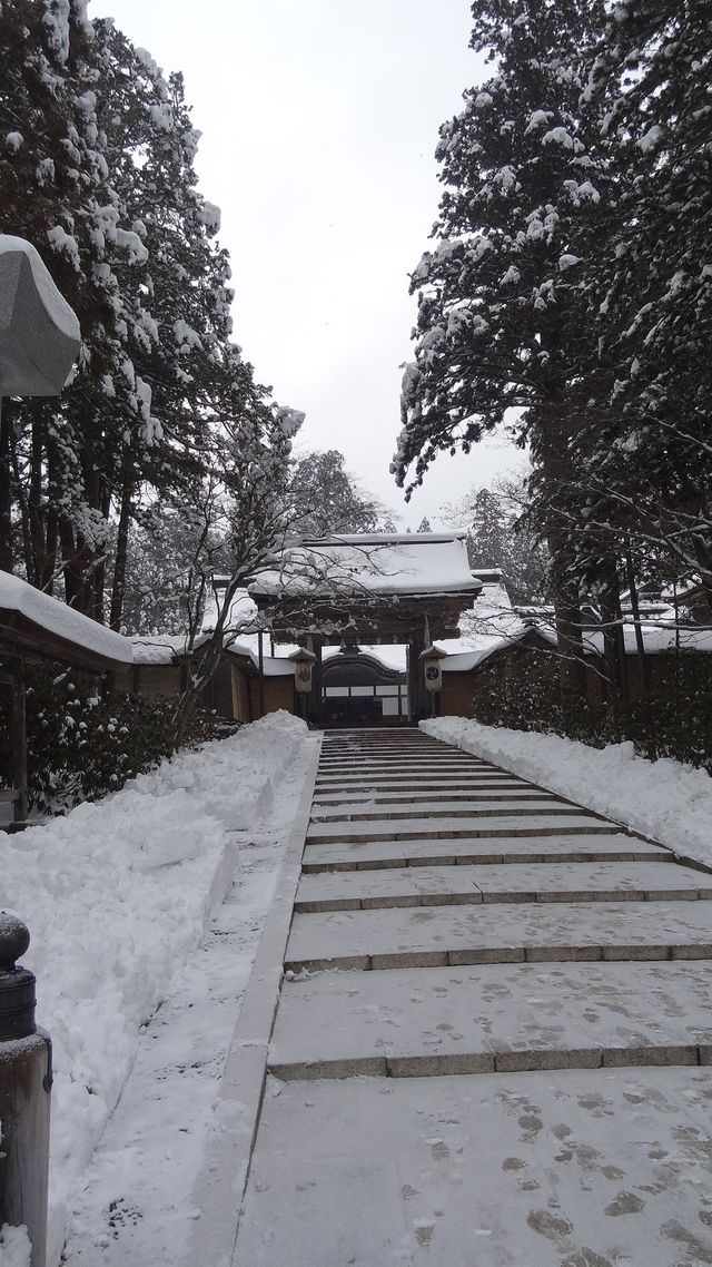日本關西+四國┃搭南海電鐵渡輪Ferry遊關西和歌山+四國德島 超方便又省錢