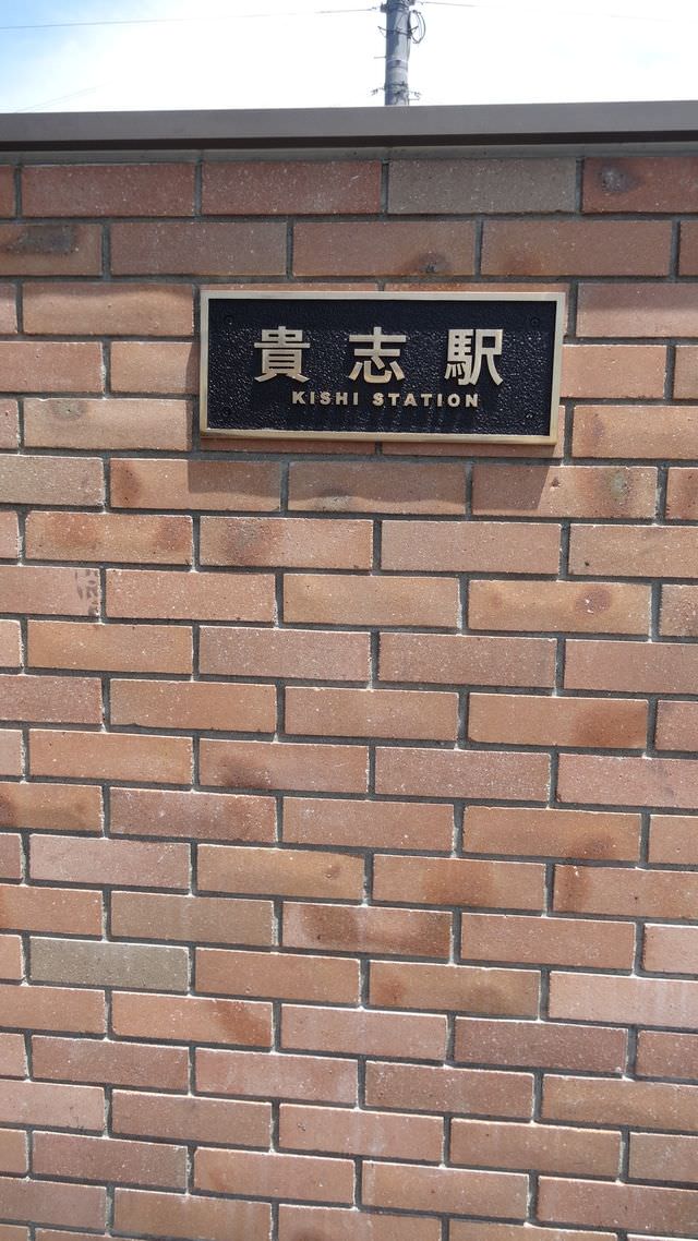 日本關西+四國┃搭南海電鐵渡輪Ferry遊關西和歌山+四國德島 超方便又省錢