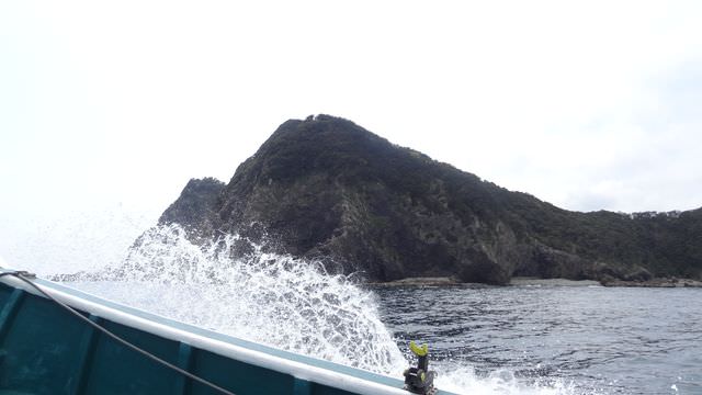 日本四國┃德島縣南部海景包棟住一晚 海龜博物館 除厄神寺藥王寺 太龍寺纜車 阿佐海岸鐵道