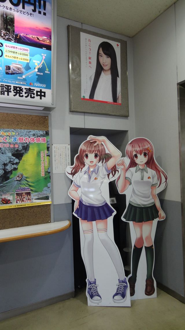 日本關西+四國┃搭南海電鐵渡輪Ferry遊關西和歌山+四國德島 超方便又省錢