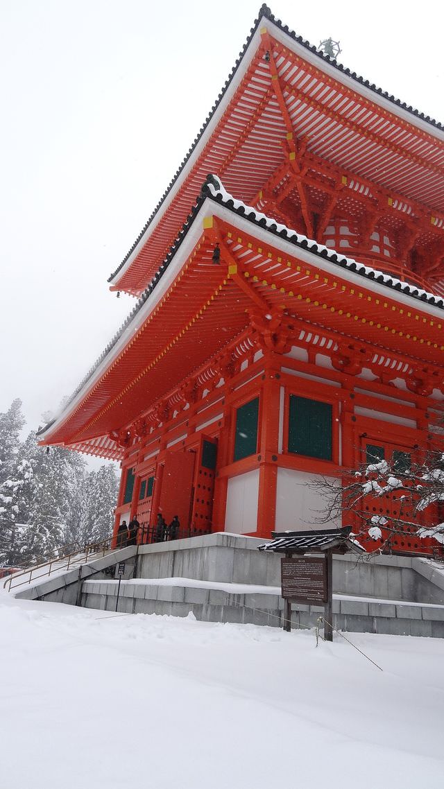 日本關西+四國┃搭南海電鐵渡輪Ferry遊關西和歌山+四國德島 超方便又省錢