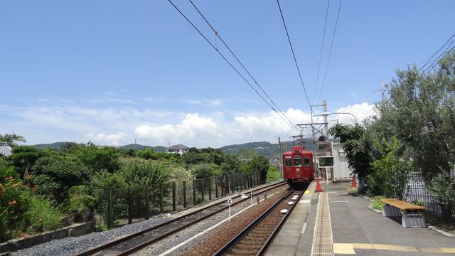 日本關西+四國┃搭南海電鐵渡輪Ferry遊關西和歌山+四國德島 超方便又省錢
