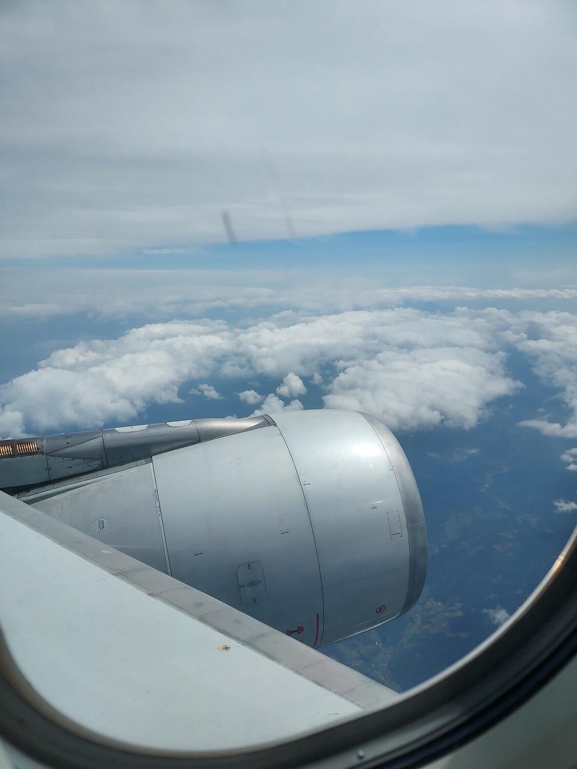 星宇航空┃ STARLUX Airlines星宇飛行記錄 星宇直飛熊本 德島 關西 名古屋 機上餐調酒圖多スターラックス航空