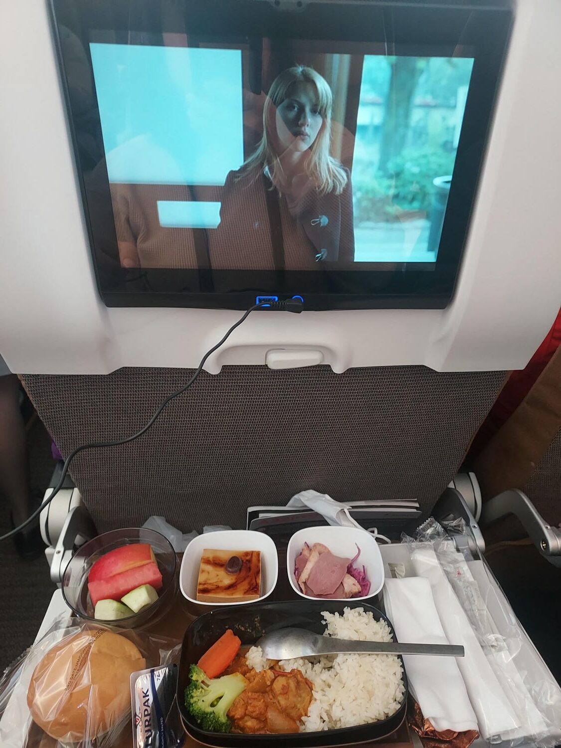 星宇航空┃ STARLUX Airlines星宇飛行記錄 星宇直飛熊本 德島 關西 名古屋 機上餐調酒圖多スターラックス航空