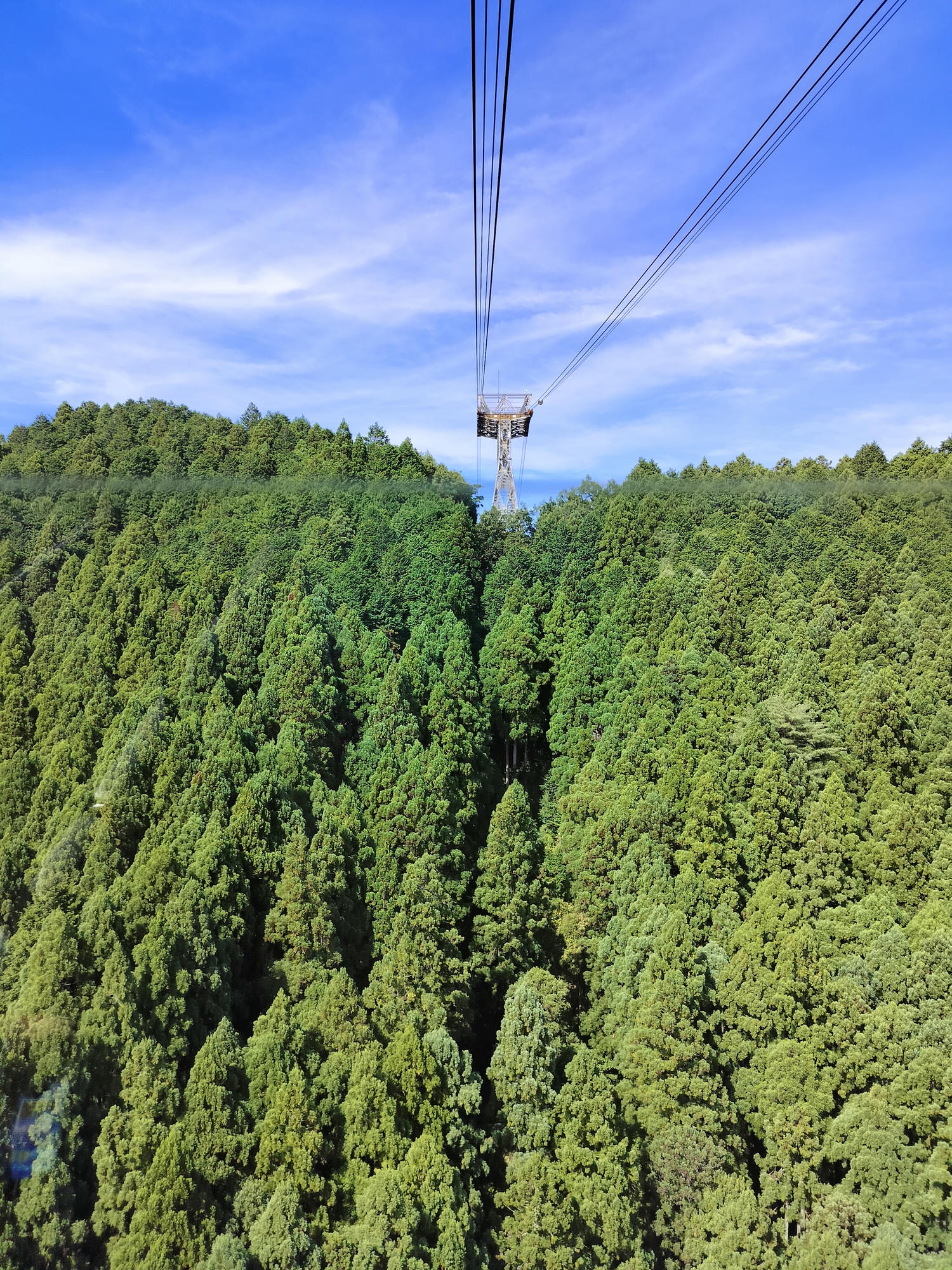德島南部┃秘境遍路23番「太龍寺」超壯觀!西日本最長跨山跨河特大纜車 弘法大師修行地 西方高野 - 第12張圖 德島南部┃秘境遍路23番「太龍寺」超壯觀!西日本最長跨山跨河特大纜車 弘法大師修行地 西方高野