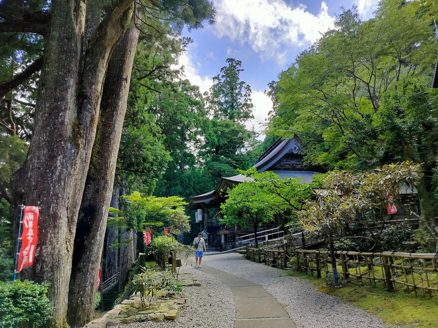 德島南部景點┃招財貓神社阿松大權現 遍路23番太龍寺 鐵道路兩用車DMV 除厄神社藥王寺 海中珊瑚船 日和佐海龜博物館 - 第8張圖 德島南部景點┃招財貓神社阿松大權現 遍路23番太龍寺 鐵道路兩用車DMV 除厄神社藥王寺 海中珊瑚船 日和佐海龜博物館