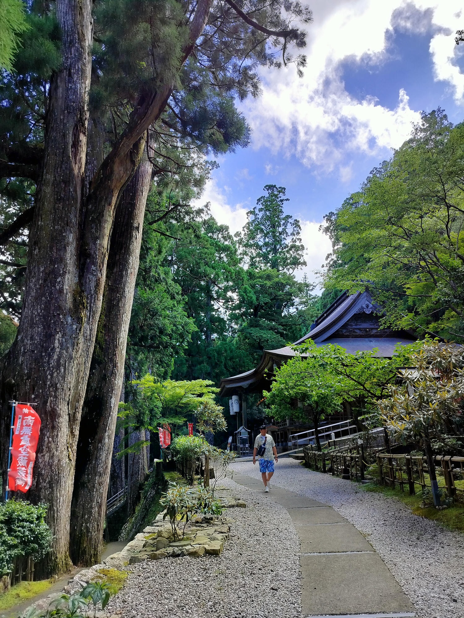 德島南部┃秘境遍路23番「太龍寺」超壯觀!西日本最長跨山跨河特大纜車 弘法大師修行地 西方高野 - 第17張圖 德島南部┃秘境遍路23番「太龍寺」超壯觀!西日本最長跨山跨河特大纜車 弘法大師修行地 西方高野