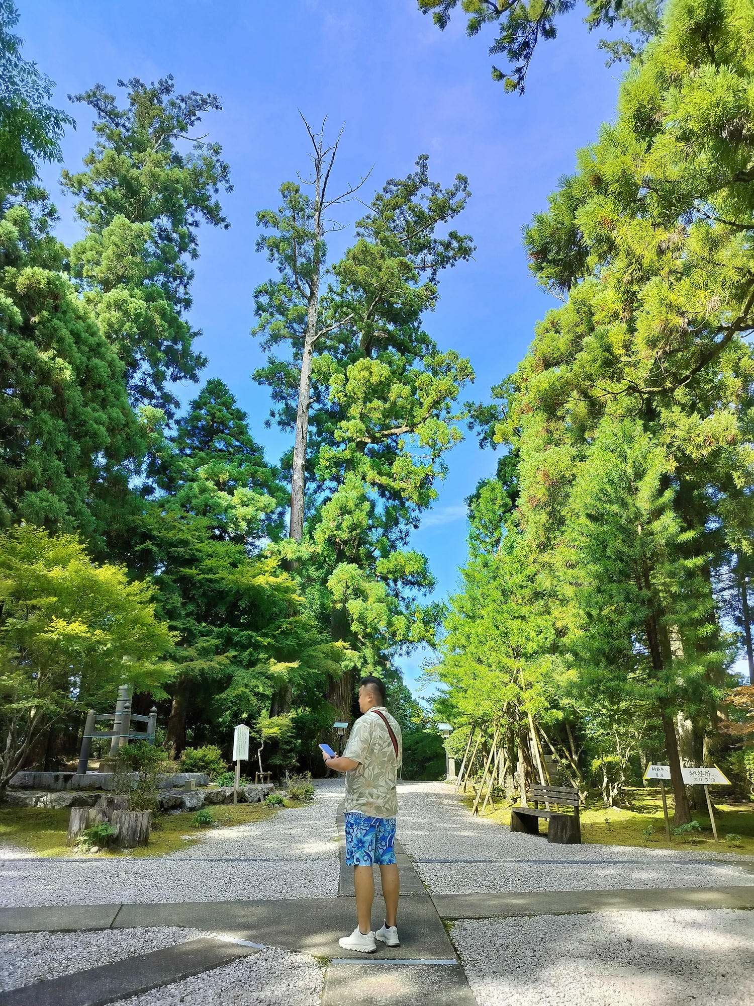 德島南部┃秘境遍路23番「太龍寺」超壯觀!西日本最長跨山跨河特大纜車 弘法大師修行地 西方高野 - 第19張圖 德島南部┃秘境遍路23番「太龍寺」超壯觀!西日本最長跨山跨河特大纜車 弘法大師修行地 西方高野