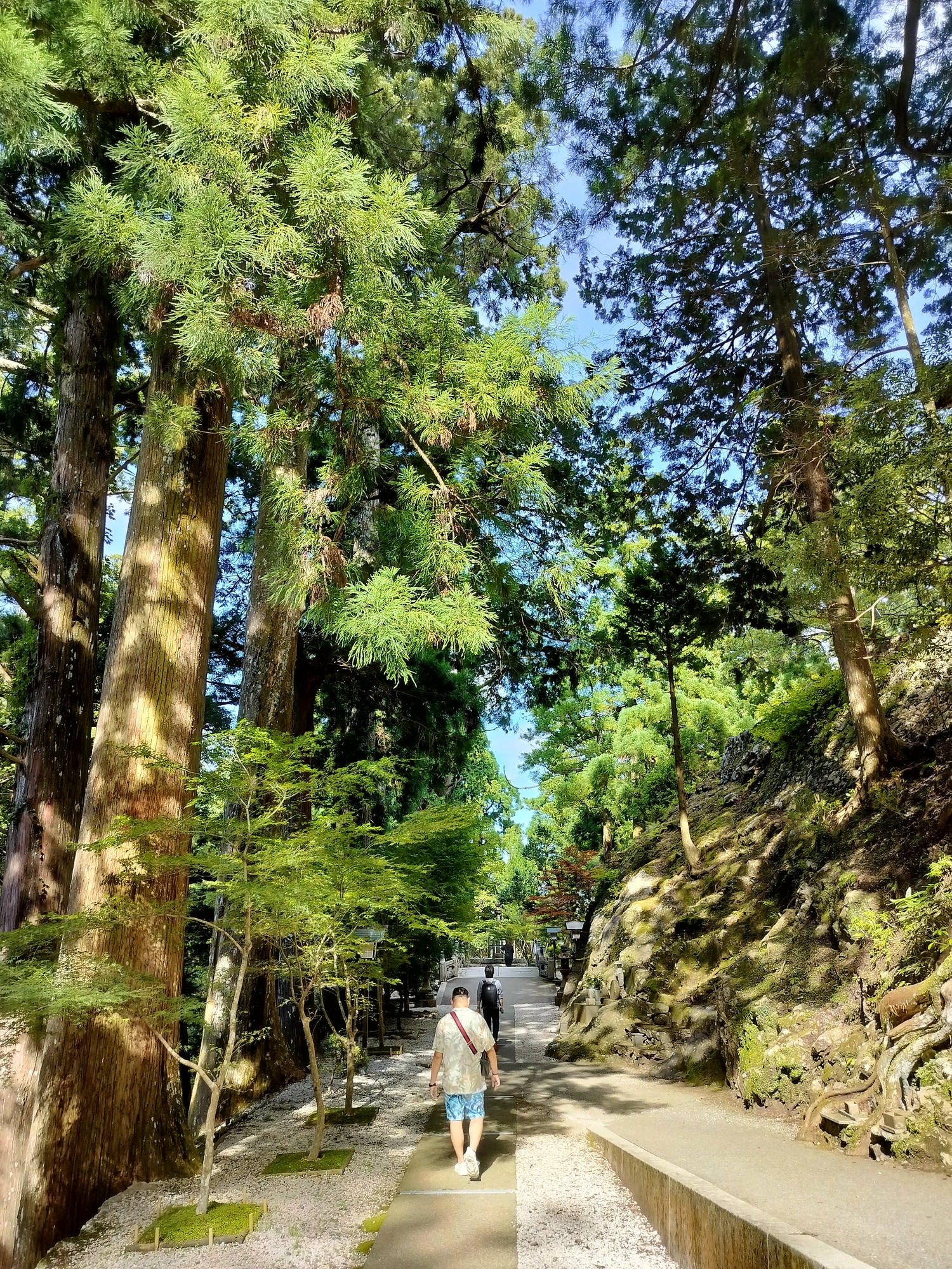 德島南部┃秘境遍路23番「太龍寺」超壯觀!西日本最長跨山跨河特大纜車 弘法大師修行地 西方高野 - 第20張圖 德島南部┃秘境遍路23番「太龍寺」超壯觀!西日本最長跨山跨河特大纜車 弘法大師修行地 西方高野