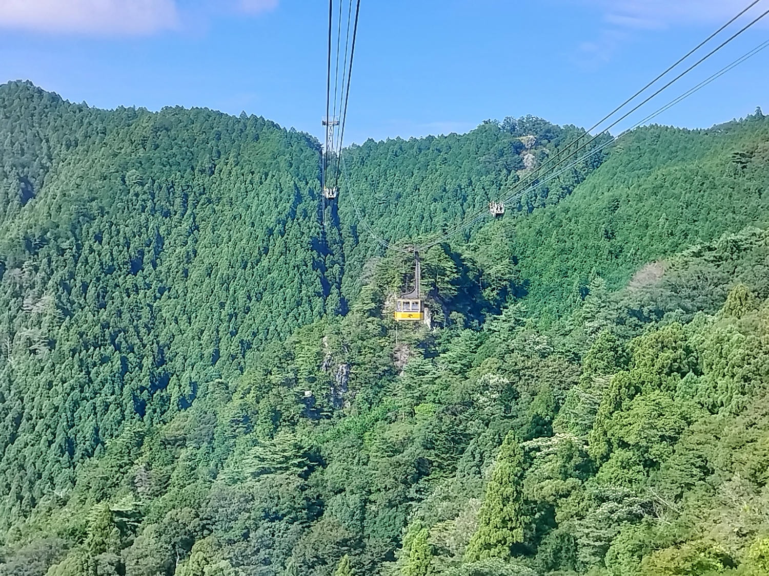 德島南部┃秘境遍路23番「太龍寺」超壯觀!西日本最長跨山跨河特大纜車 弘法大師修行地 西方高野 - 第28張圖 德島南部┃秘境遍路23番「太龍寺」超壯觀!西日本最長跨山跨河特大纜車 弘法大師修行地 西方高野