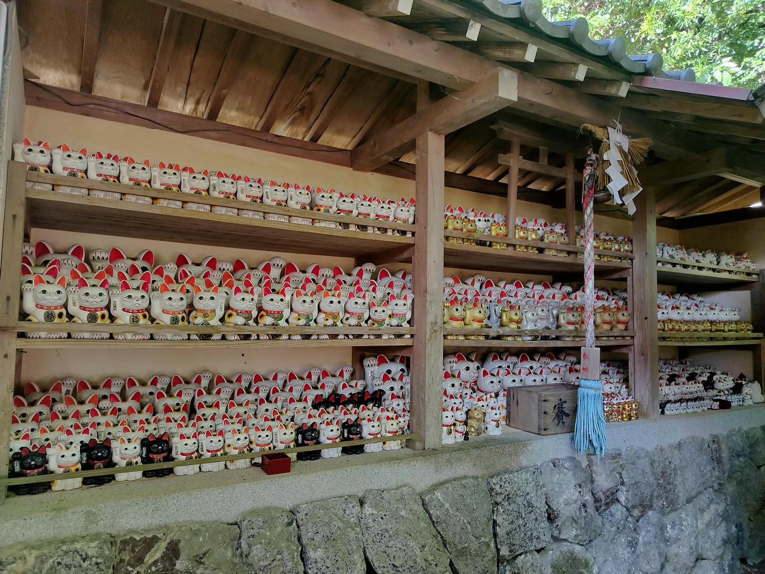 德島南部┃愛貓復仇成功!「阿松大權現」1萬隻招財貓神社 JR阿南轉巴士 訴松必勝商業繁榮試驗合格 お松大権現 - 第12張圖 德島南部┃愛貓復仇成功!「阿松大權現」1萬隻招財貓神社 JR阿南轉巴士 訴松必勝商業繁榮試驗合格 お松大権現