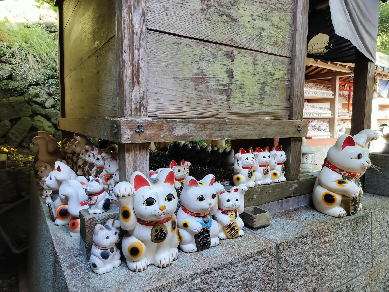 德島南部┃愛貓復仇成功!「阿松大權現」1萬隻招財貓神社 JR阿南轉巴士 訴松必勝商業繁榮試驗合格 お松大権現 - 第8張圖 德島南部┃愛貓復仇成功!「阿松大權現」1萬隻招財貓神社 JR阿南轉巴士 訴松必勝商業繁榮試驗合格 お松大権現