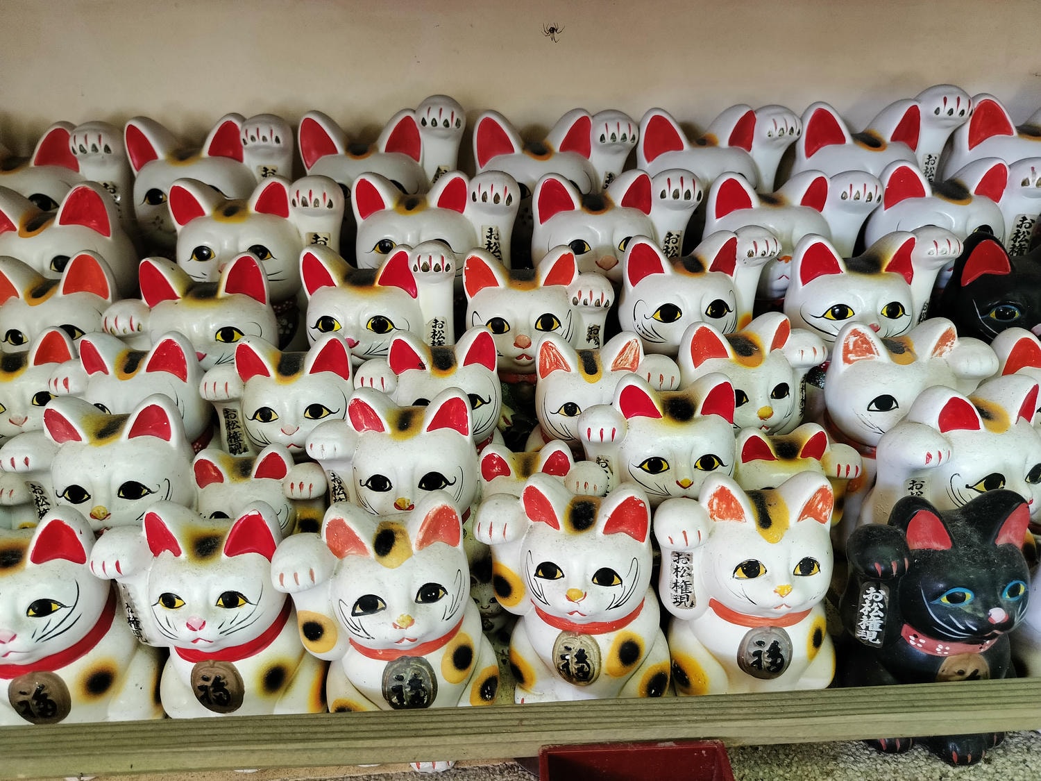 德島南部┃愛貓復仇成功!「阿松大權現」1萬隻招財貓神社 JR阿南轉巴士 訴松必勝商業繁榮試驗合格 お松大権現 - 第2張圖 德島南部┃愛貓復仇成功!「阿松大權現」1萬隻招財貓神社 JR阿南轉巴士 訴松必勝商業繁榮試驗合格 お松大権現