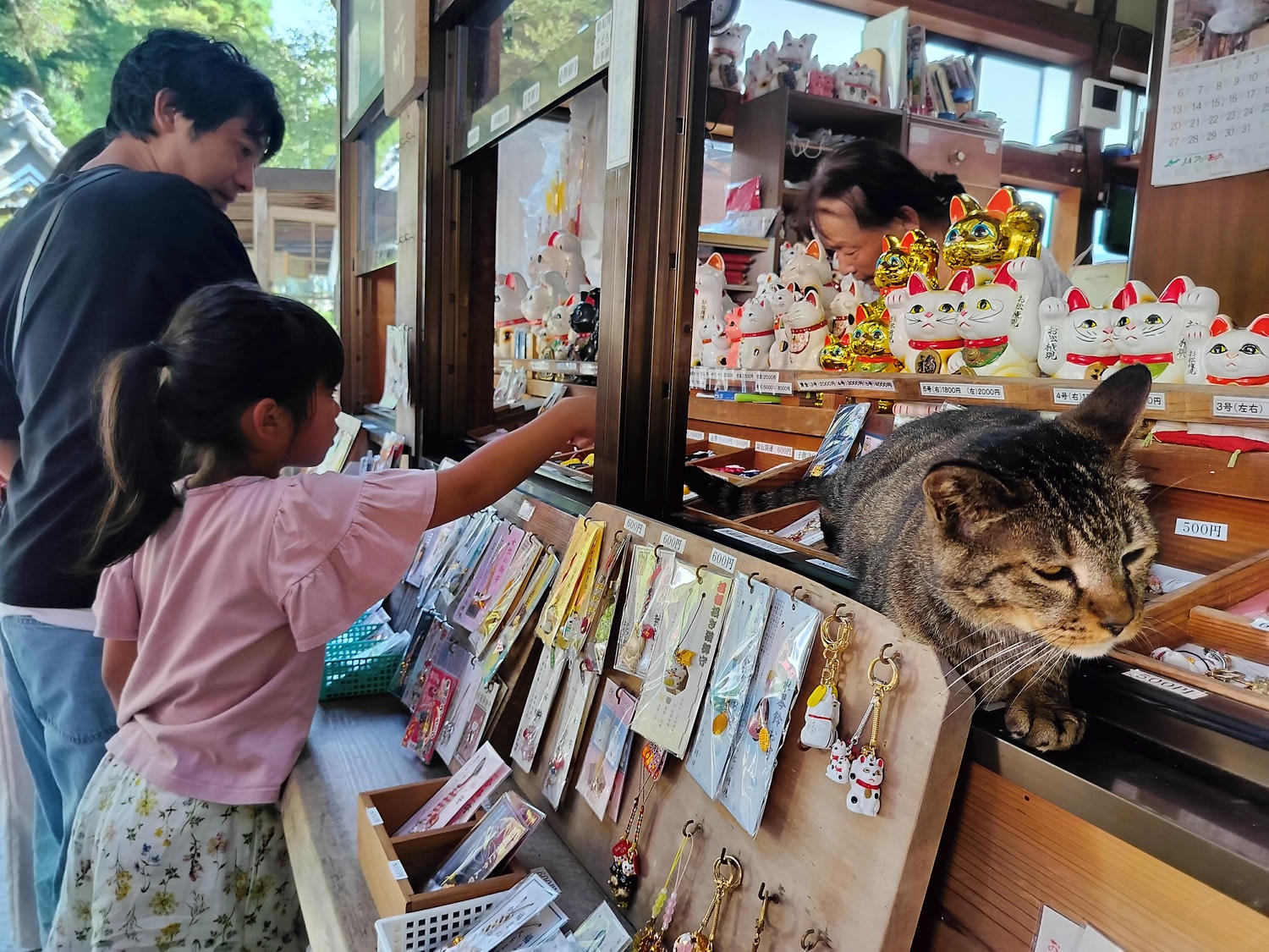 德島南部┃愛貓復仇成功!「阿松大權現」1萬隻招財貓神社 JR阿南轉巴士 訴松必勝商業繁榮試驗合格 お松大権現 - 第15張圖 德島南部┃愛貓復仇成功!「阿松大權現」1萬隻招財貓神社 JR阿南轉巴士 訴松必勝商業繁榮試驗合格 お松大権現