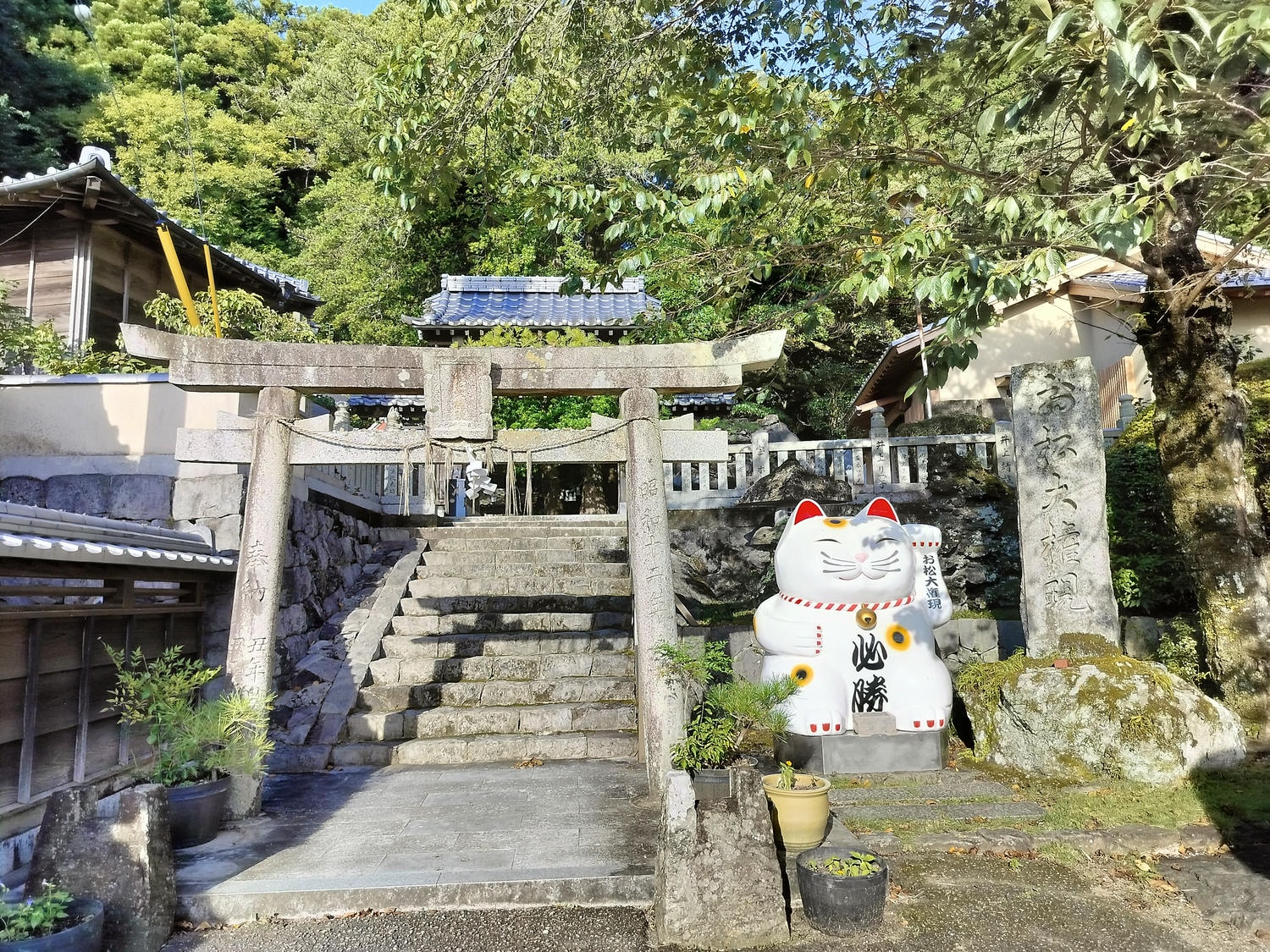 德島南部┃愛貓復仇成功!「阿松大權現」1萬隻招財貓神社 JR阿南轉巴士 訴松必勝商業繁榮試驗合格 お松大権現 - 第3張圖 德島南部┃愛貓復仇成功!「阿松大權現」1萬隻招財貓神社 JR阿南轉巴士 訴松必勝商業繁榮試驗合格 お松大権現