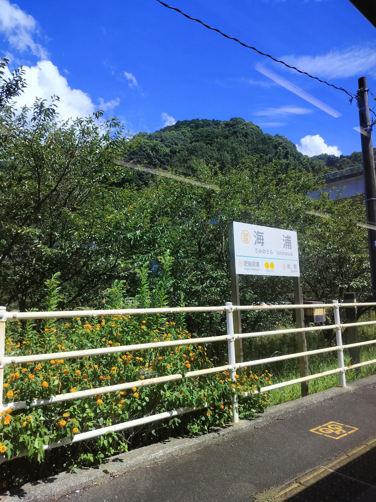 熊本交通┃JR八代站搭肥薩橘子鐵道(橘子咖啡) 帶回雙層便當賞海景 酷洛米美樂蒂彩繪 鹿兒島出水站箱崎八幡神社