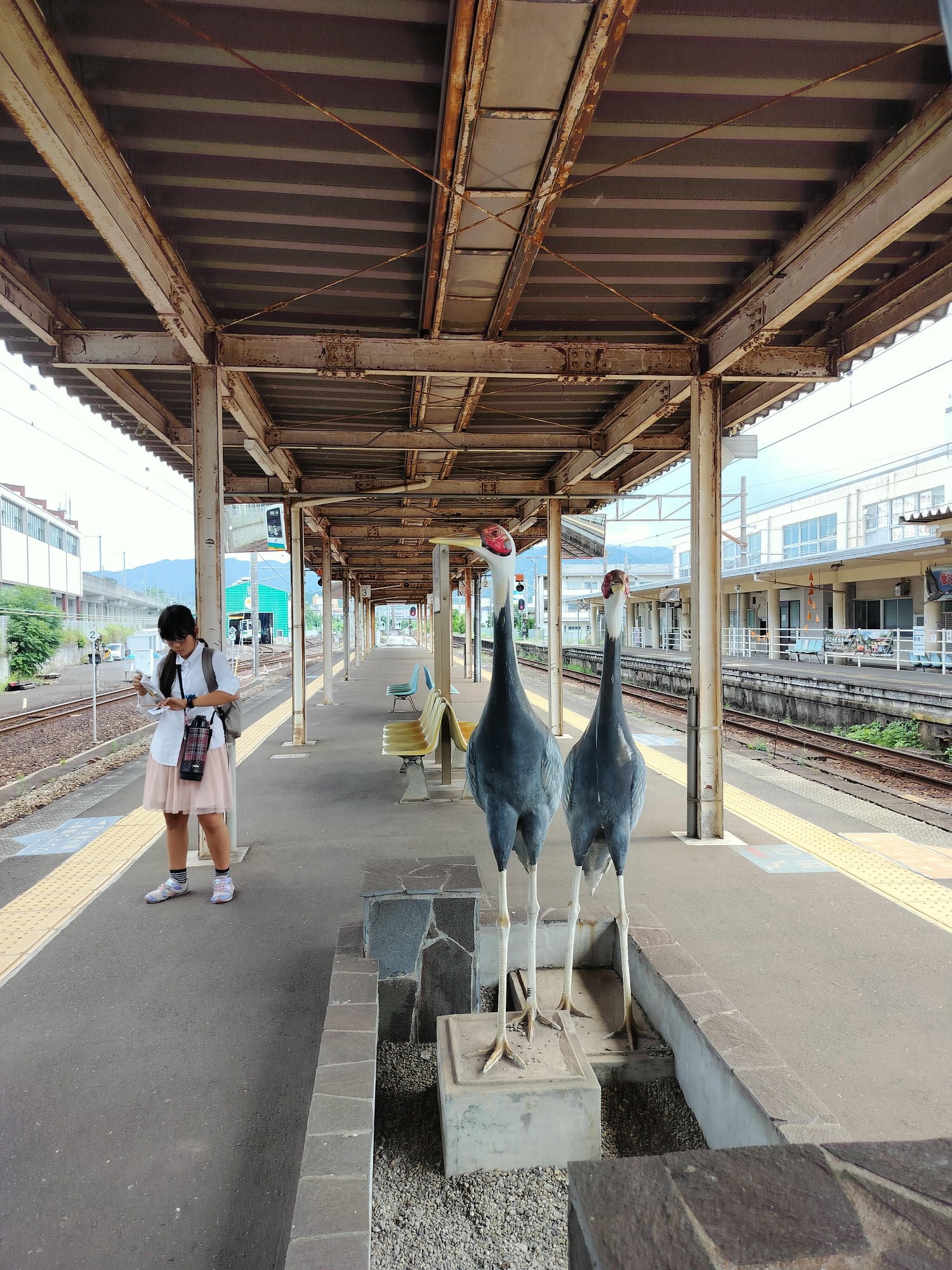 熊本交通┃JR八代站搭肥薩橘子鐵道(橘子咖啡) 帶回雙層便當賞海景 酷洛米美樂蒂彩繪 鹿兒島出水站箱崎八幡神社