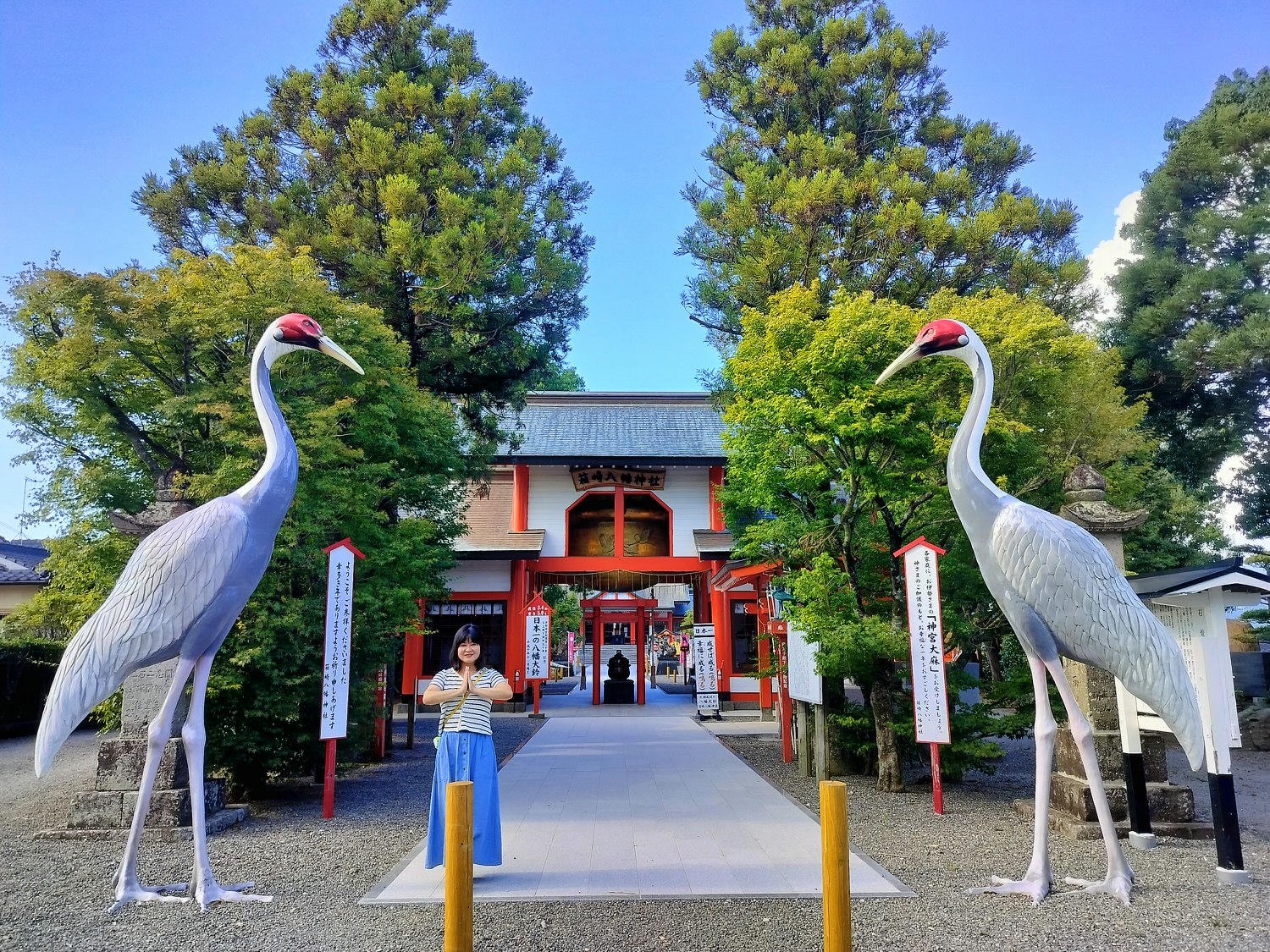 熊本交通┃JR八代站搭肥薩橘子鐵道(橘子咖啡) 帶回雙層便當賞海景 酷洛米美樂蒂彩繪 鹿兒島出水站箱崎八幡神社