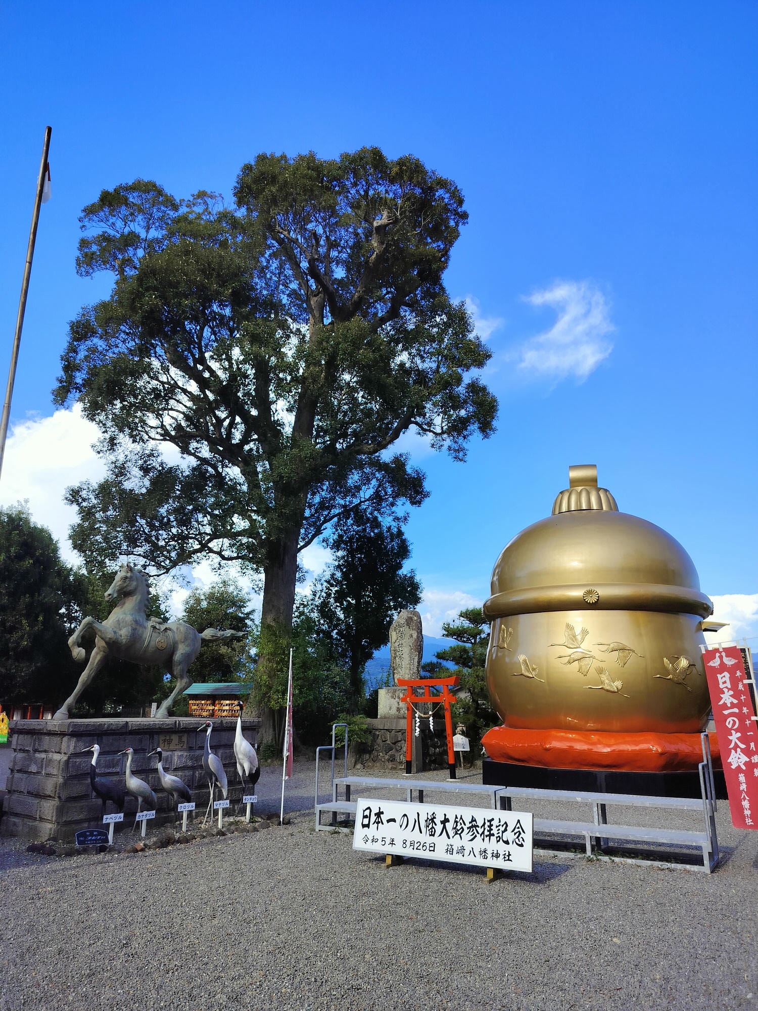 熊本交通┃JR八代站搭肥薩橘子鐵道(橘子咖啡) 帶回雙層便當賞海景 酷洛米美樂蒂彩繪 鹿兒島出水站箱崎八幡神社
