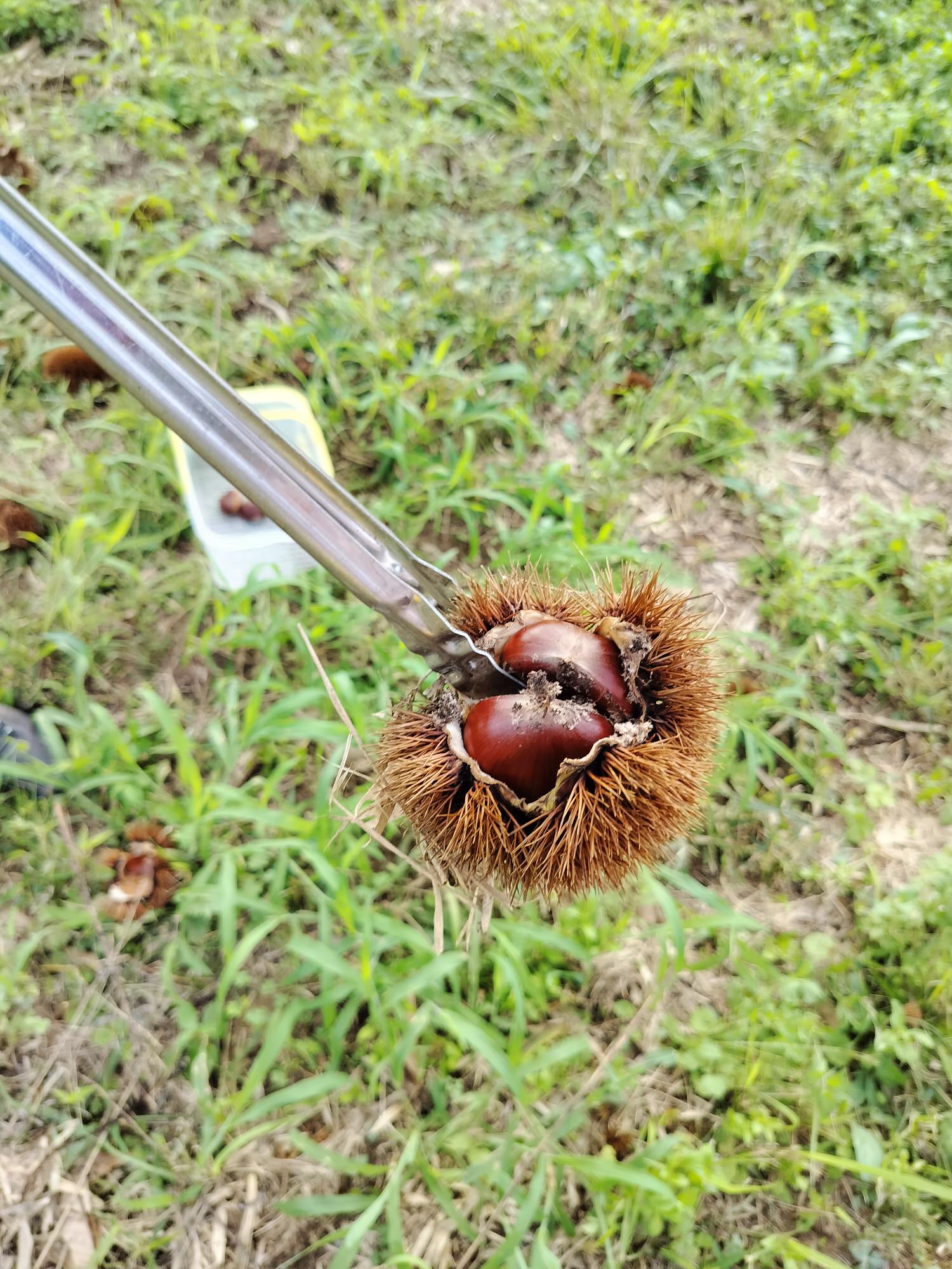 活動紀錄┃台日休閒農業交流 「農業部X茨城縣」 六級產業 觀光農業 行程規劃中日協調 台日コーディネーター