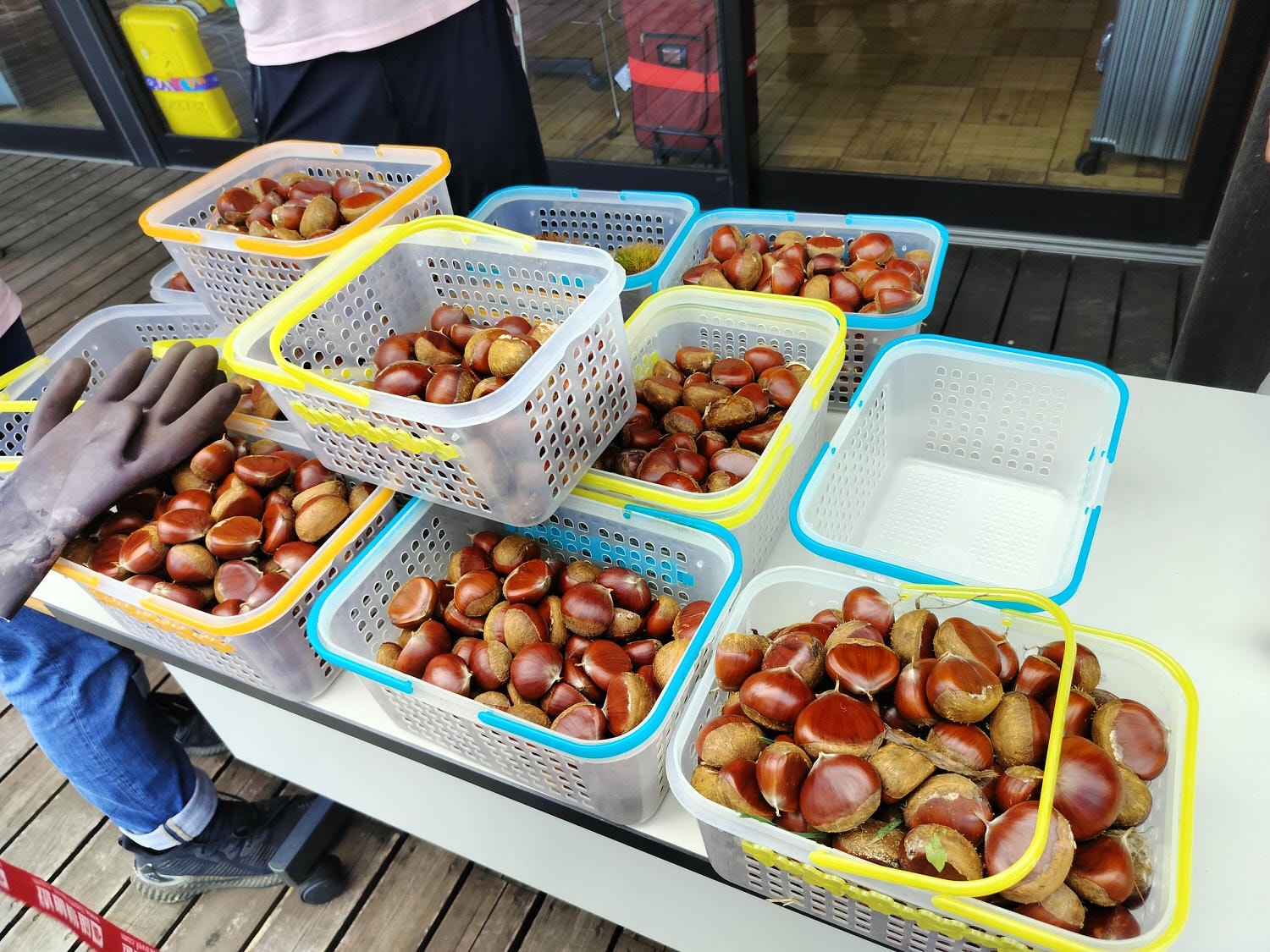 活動紀錄┃台日休閒農業交流 「農業部X茨城縣」 六級產業 觀光農業 行程規劃中日協調 台日コーディネーター