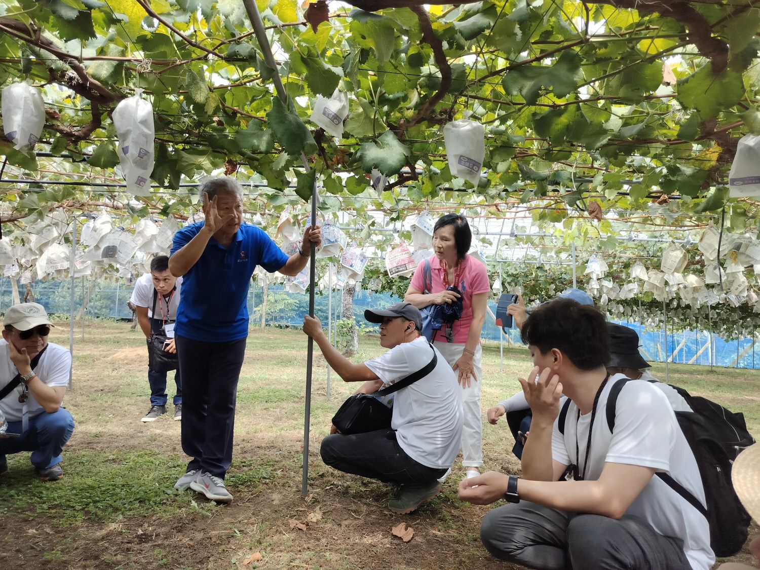 活動紀錄┃台日休閒農業交流 「農業部X茨城縣」 六級產業 觀光農業 行程規劃中日協調 台日コーディネーター