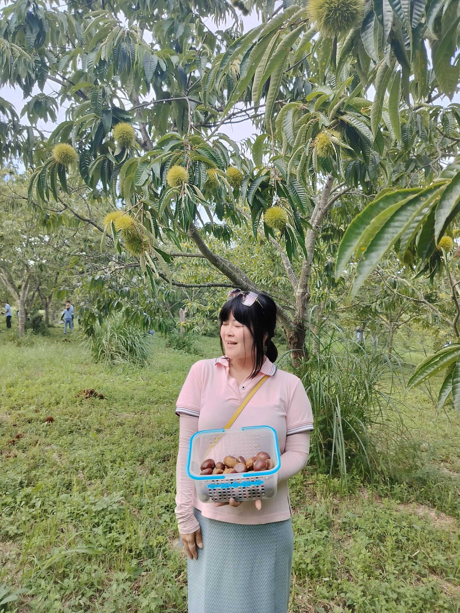 活動紀錄┃台日休閒農業交流 「農業部X茨城縣」 六級產業 觀光農業 行程規劃中日協調 台日コーディネーター